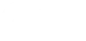 Vive Activo